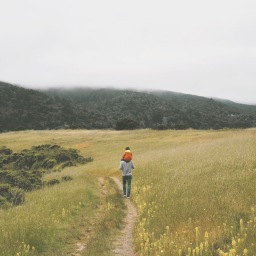 Travel Guide to Point Reyes