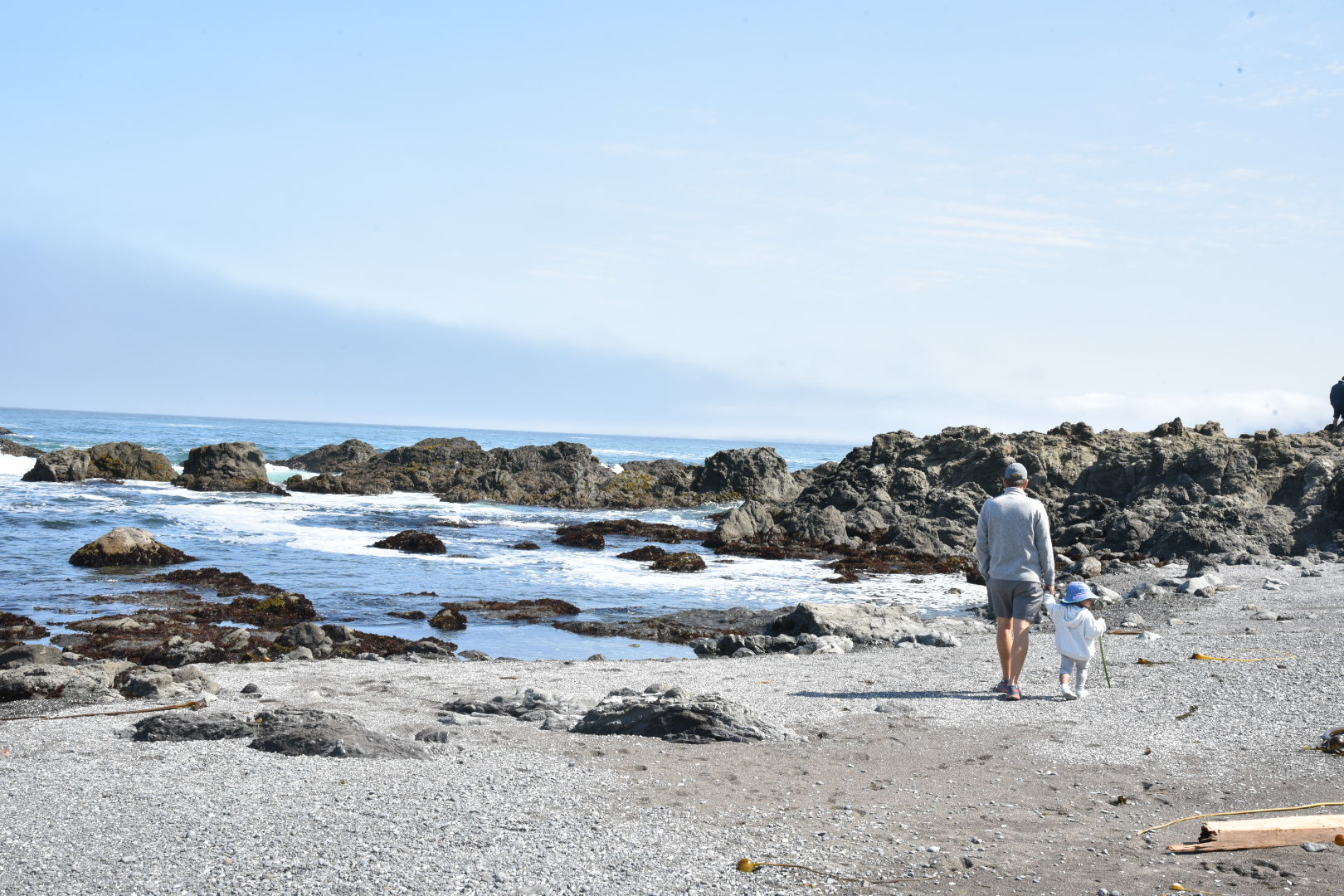 Top 10 Things to Do in Mendocino (Kid-friendly)